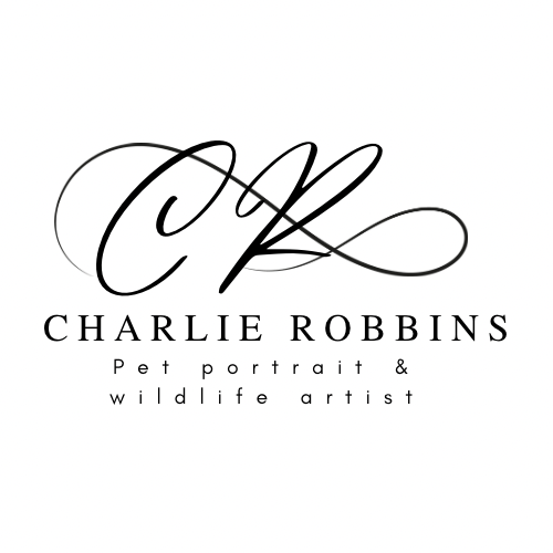 Charlie Robbins Art