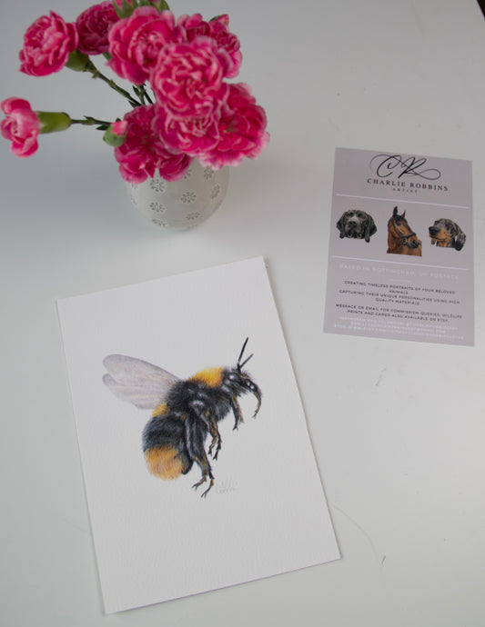 Bee - Fine Art Print