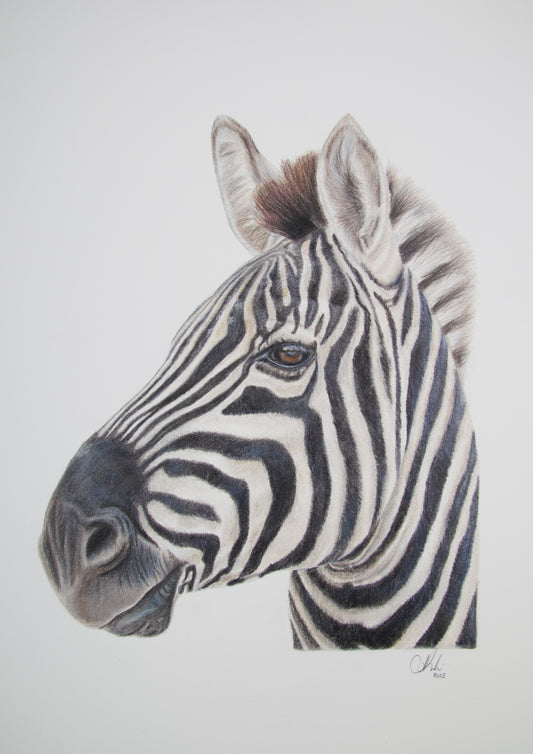 ORIGINAL Zebra