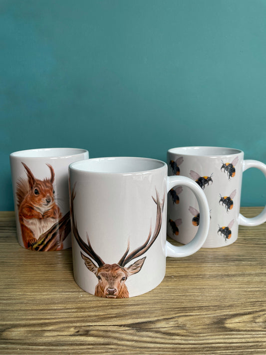 Mixed pack Ceramic Mugs