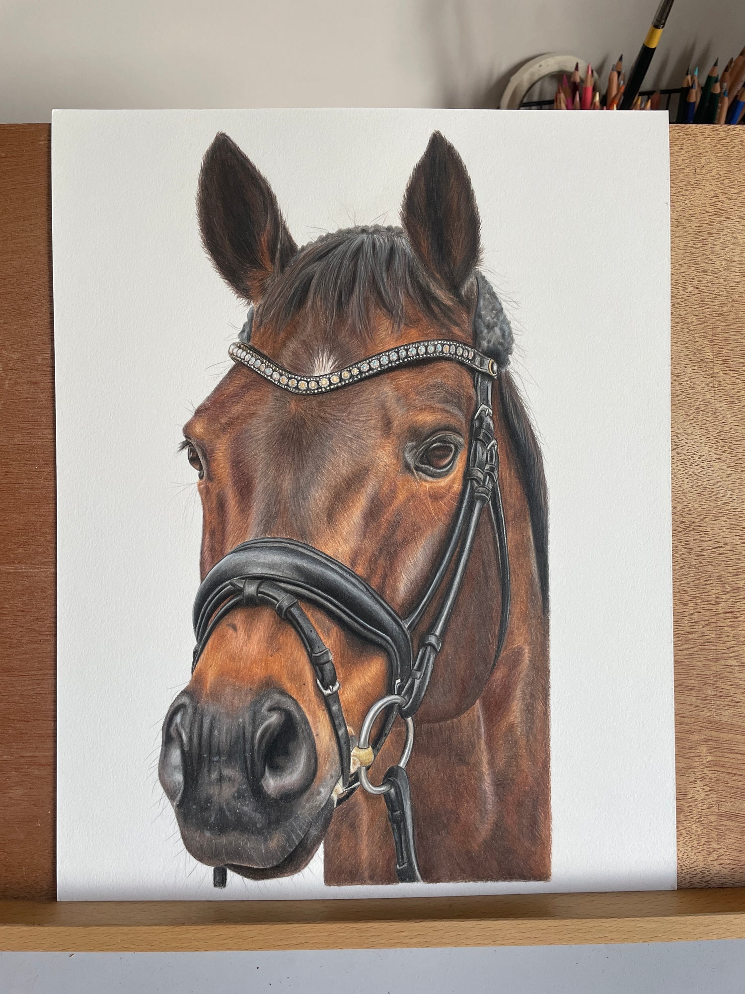 Coloured pencil drawing of dressage horse, Drombusch